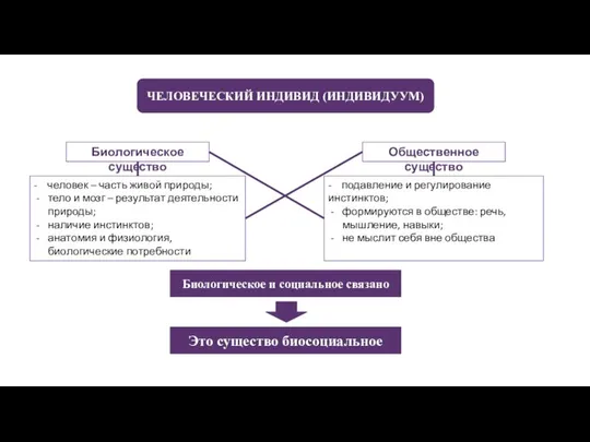 ЧЕЛОВЕЧЕСКИЙ ИНДИВИД (ИНДИВИДУУМ) Биологическое существо Общественное существо - человек – часть