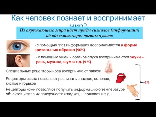 Как человек познает и воспринимает мир? Из окружающего мира идет приём