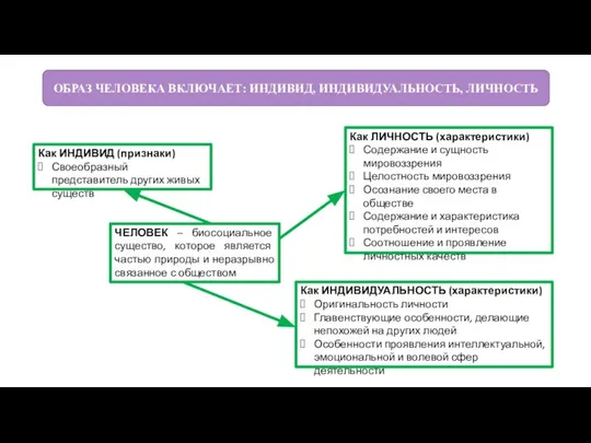 ЧЕЛОВЕК – биосоциальное существо, которое является частью природы и неразрывно связанное