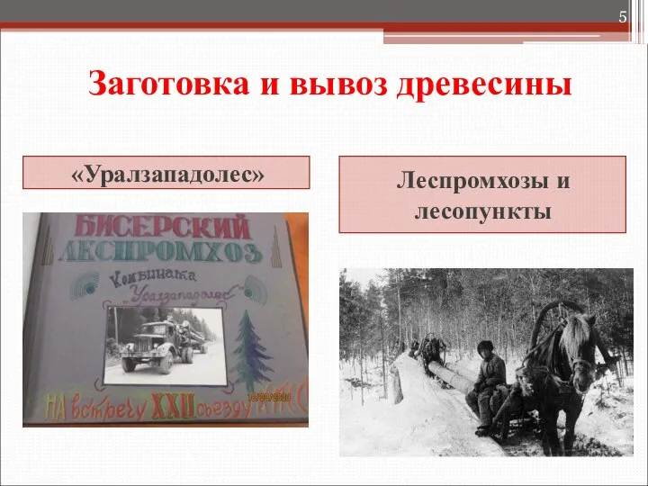 Заготовка и вывоз древесины «Уралзападолес» Леспромхозы и лесопункты