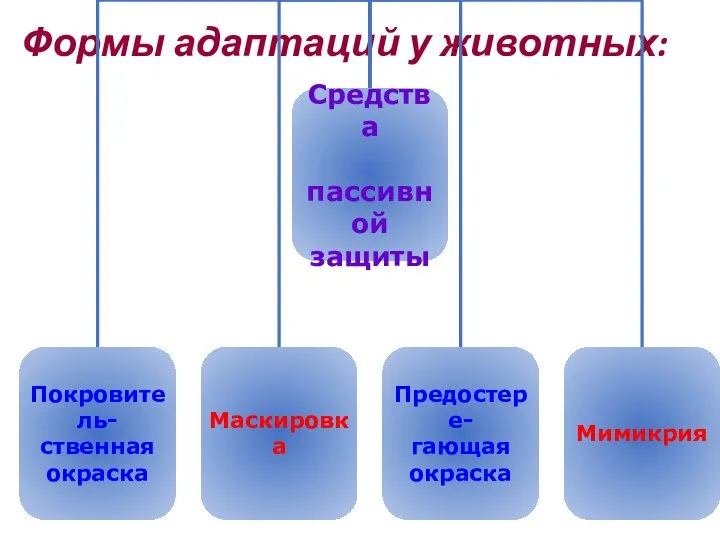 Формы адаптаций у животных: