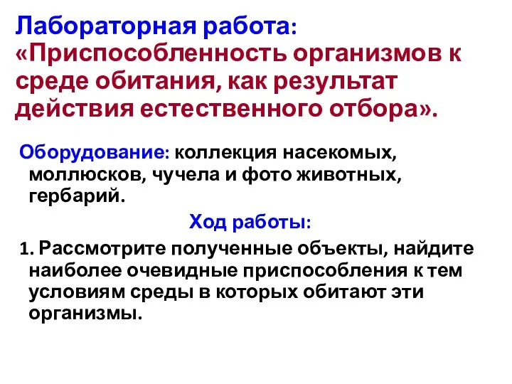 Лабораторная работа: «Приспособленность организмов к среде обитания, как результат действия естественного