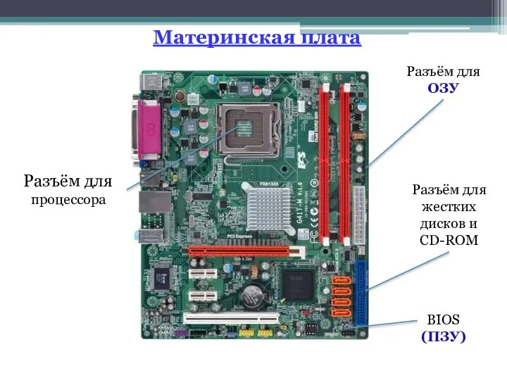 Разъём для ОЗУ BIOS (ПЗУ) Разъём для жестких дисков и CD-ROM Разъём для процессора Материнская плата