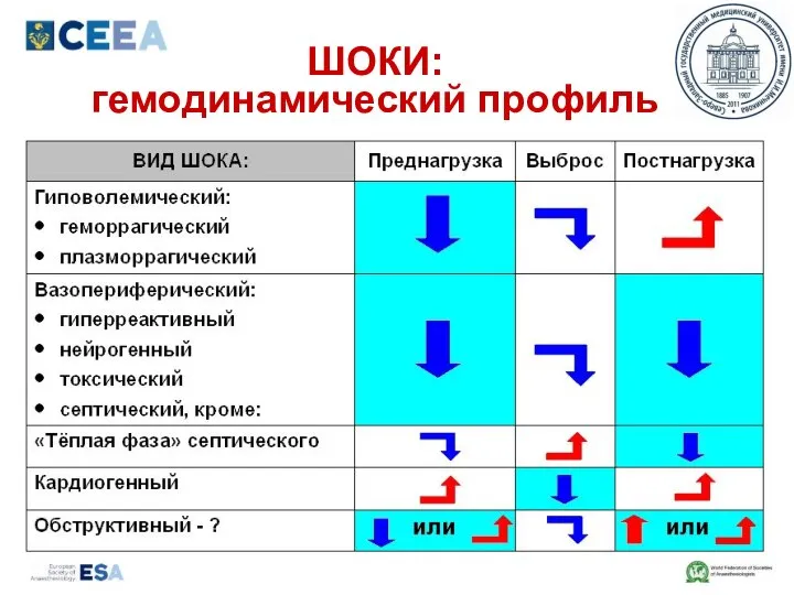 ШОКИ: гемодинамический профиль