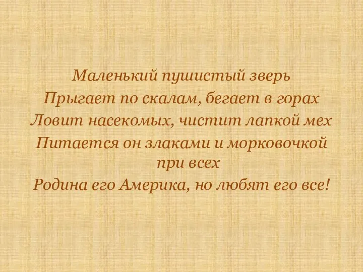 Маленький пушистый зверь Прыгает по скалам, бегает в горах Ловит насекомых,