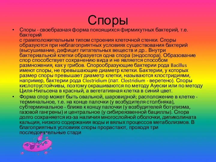 Споры Споры - своебразная форма покоящихся фирмикутных бактерий, т.е. бактерий с