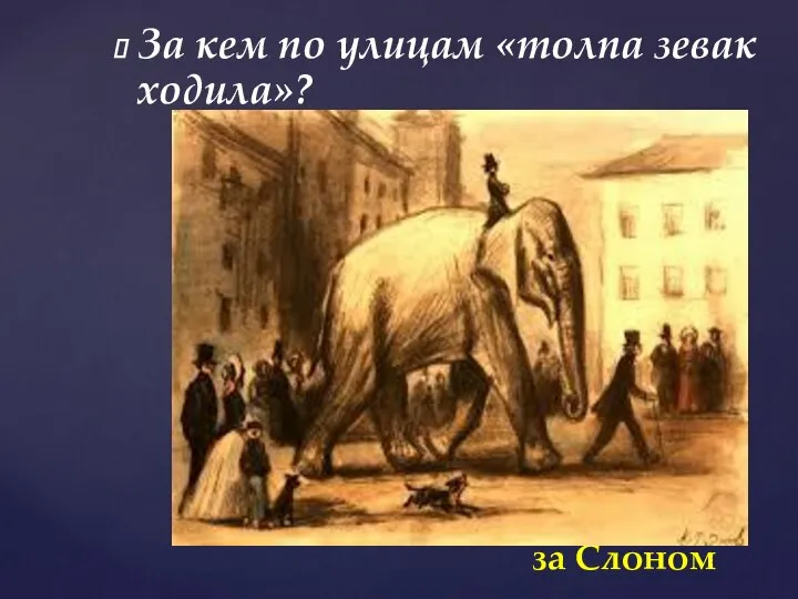 За кем по улицам «толпа зевак ходила»? за Слоном