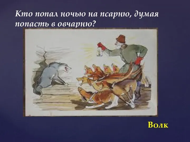 Кто попал ночью на псарню, думая попасть в овчарню? Волк