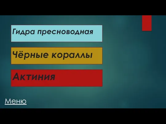 Меню Гидра пресноводная Чёрные кораллы Актиния