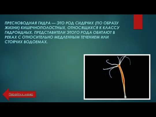 ПРЕСНОВОДНАЯ ГИДРА — ЭТО РОД СИДЯЧИХ (ПО ОБРАЗУ ЖИЗНИ) КИШЕЧНОПОЛОСТНЫХ, ОТНОСЯЩИХСЯ