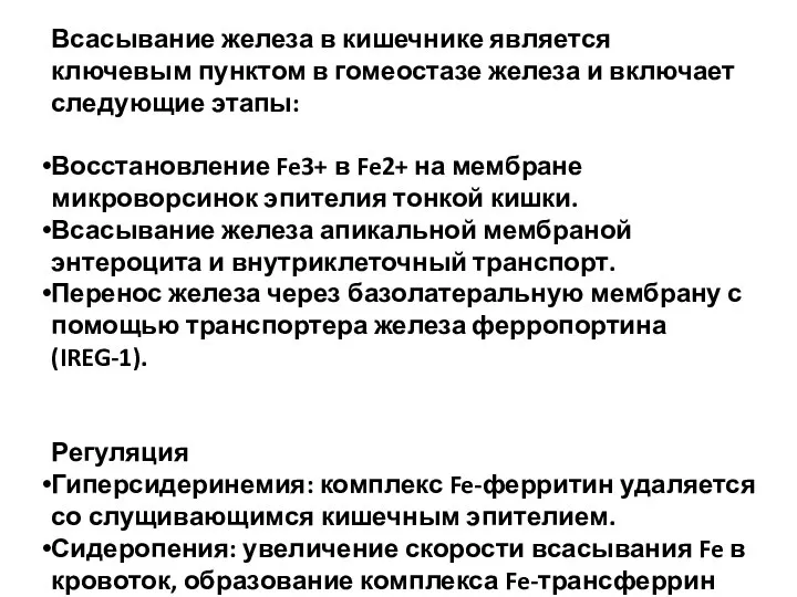 Всасывание железа в кишечнике является ключевым пунктом в гомеостазе железа и