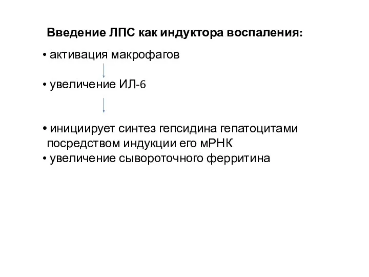 Введение ЛПС как индуктора воспаления: активация макрофагов увеличение ИЛ-6 инициирует синтез