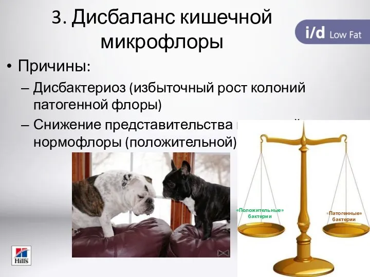 3. Дисбаланс кишечной микрофлоры Причины: Дисбактериоз (избыточный рост колоний патогенной флоры)