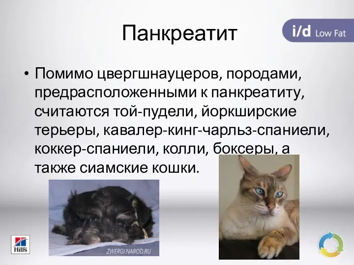 Панкреатит Помимо цвергшнауцеров, породами, предрасположенными к панкреатиту, считаются той-пудели, йоркширские терьеры,