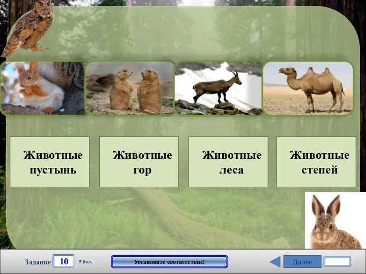 Далее 10 Задание 5 бал. Установите соответствие! Животные пустынь Животные гор Животные леса Животные степей