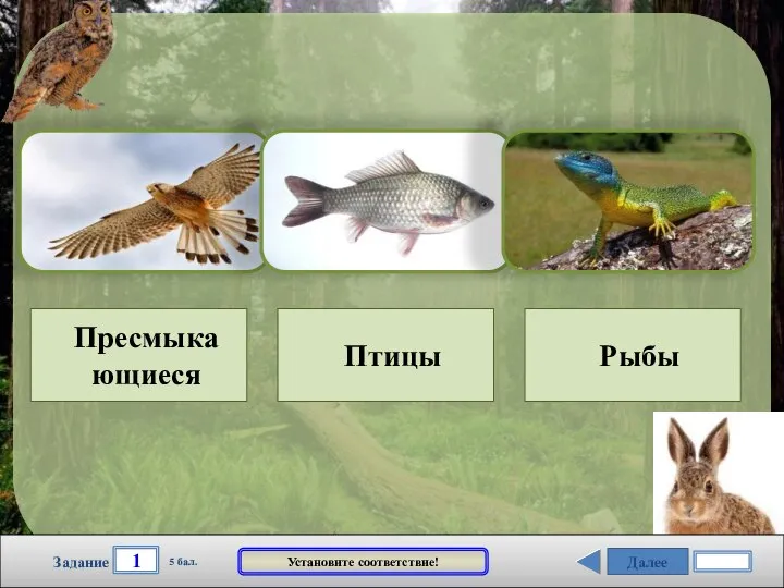 Далее 1 Задание 5 бал. Установите соответствие! Пресмыка ющиеся Птицы Рыбы