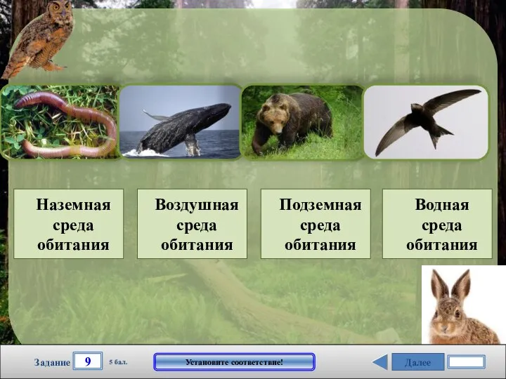 Далее 9 Задание 5 бал. Установите соответствие! Наземная среда обитания Воздушная