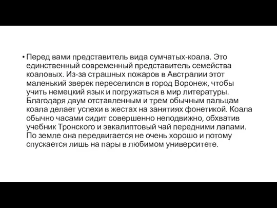 Перед вами представитель вида сумчатых-коала. Это единственный современный представитель семейства коаловых.