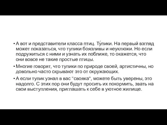 А вот и представители класса птиц. Ту́пики. На первый взгляд может