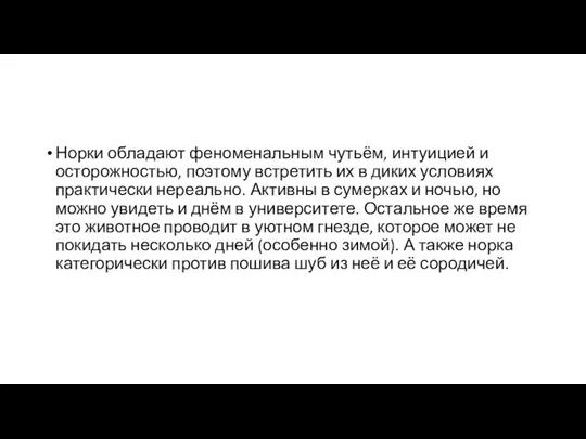 Норки обладают феноменальным чутьём, интуицией и осторожностью, поэтому встретить их в