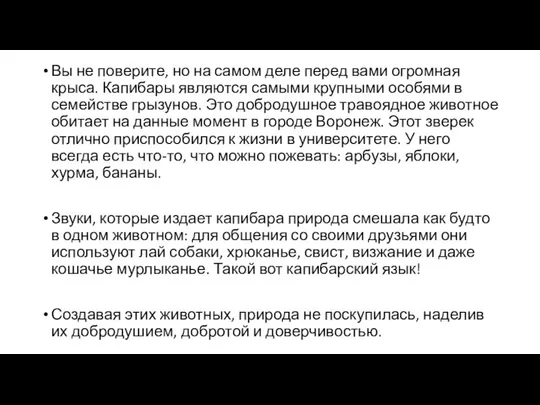 Вы не поверите, но на самом деле перед вами огромная крыса.