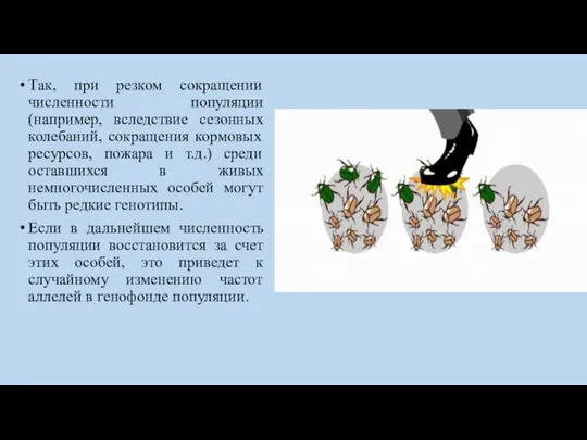 Так, при резком сокращении численности популяции (например, вследствие сезонных колебаний, сокращения