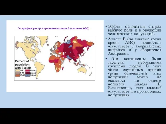 Эффект основателя сыграл важную роль и в эволюции человеческих популяций. Аллель