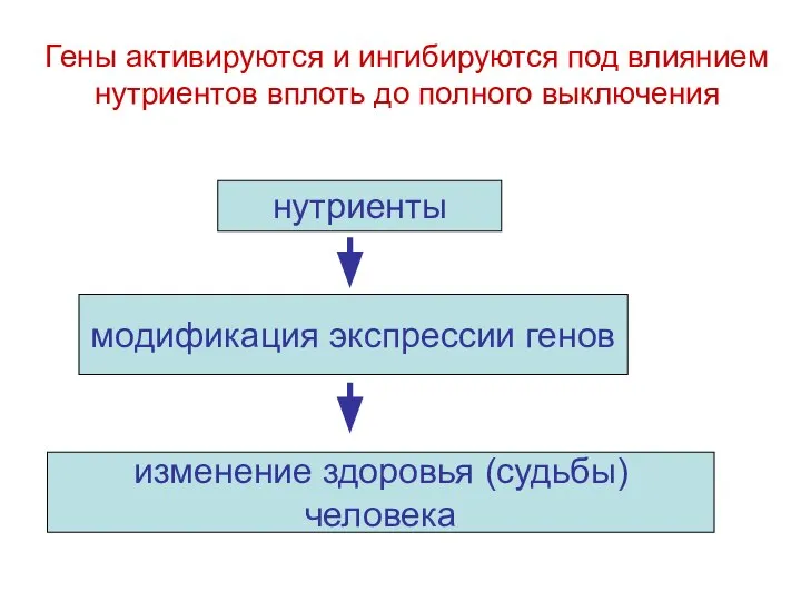 нутриенты модификация экспрессии генов изменение здоровья (судьбы) человека Гены активируются и