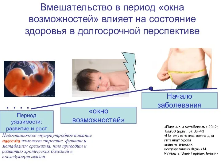 . . . . Период уязвимости: развитие и рост «окно возможностей»