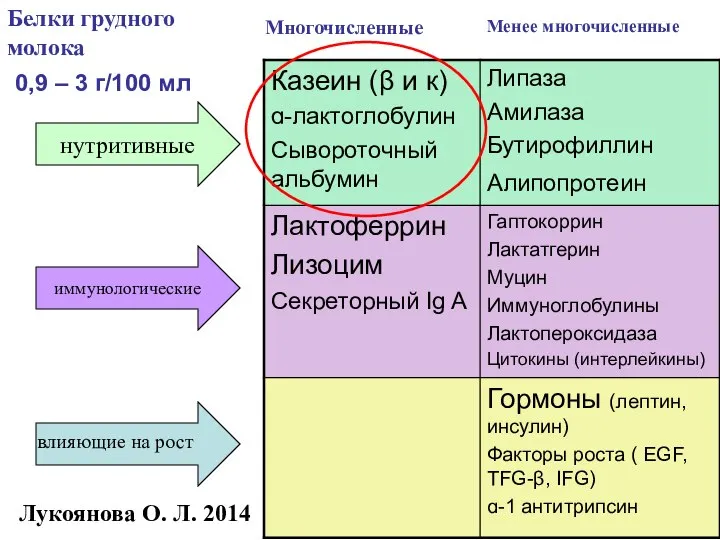 Белки грудного молока 0,9 – 3 г/100 мл нутритивные иммунологические влияющие