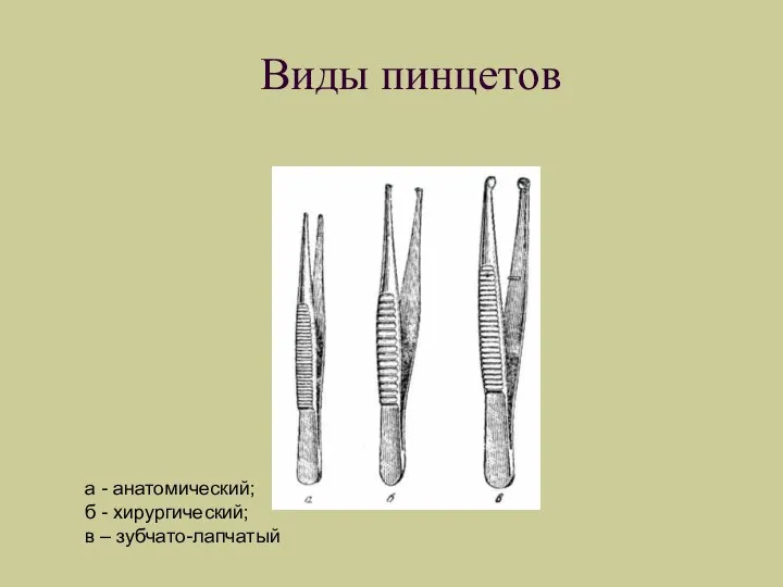 Виды пинцетов а - анатомический; б - хирургический; в – зубчато-лапчатый