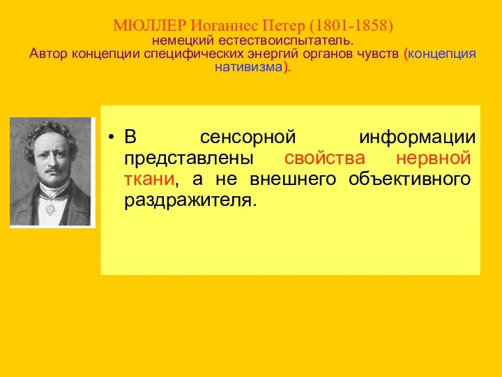 МЮЛЛЕР Иоганнес Петер (1801-1858) немецкий естествоиспытатель. Автор концепции специфических энергий органов