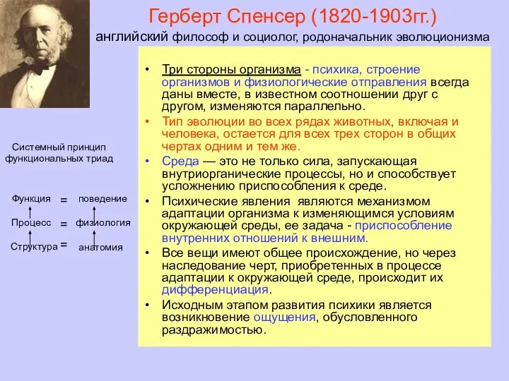 Герберт Спенсер (1820-1903гг.) английский философ и социолог, родоначальник эволюционизма Три стороны