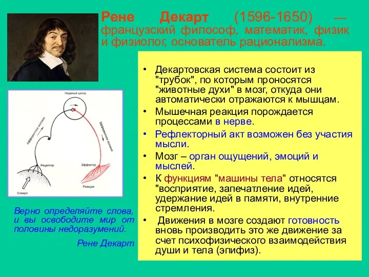 Рене Декарт (1596-1650) — французский философ, математик, физик и физиолог, основатель