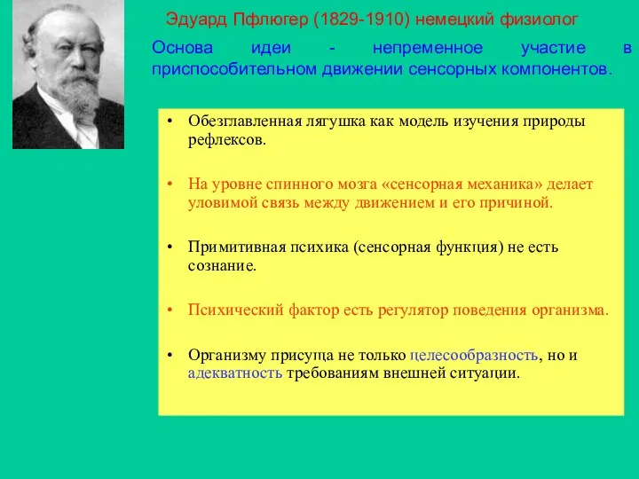 Обезглавленная лягушка как модель изучения природы рефлексов. На уровне спинного мозга