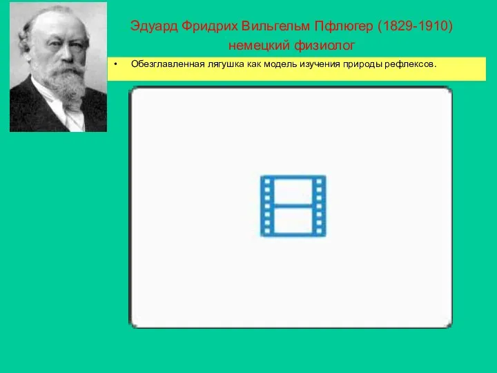 Эдуард Фридрих Вильгельм Пфлюгер (1829-1910) немецкий физиолог Обезглавленная лягушка как модель изучения природы рефлексов.