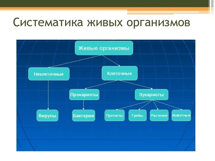 Систематика живых организмов