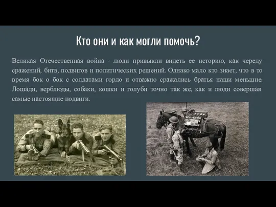 Кто они и как могли помочь? Великая Отечественная война - люди