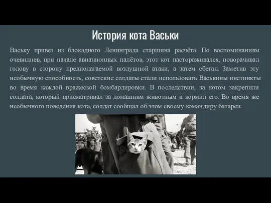 История кота Васьки Ваську привез из блокадного Ленинграда старшина расчёта. По