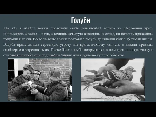 Голуби Так как в начале войны проводная связь действовала только на