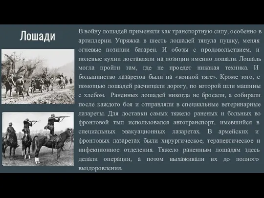 Лошади В войну лошадей применяли как транспортную силу, особенно в артиллерии.