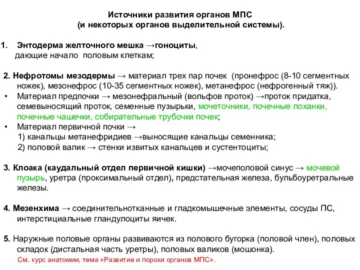 Источники развития органов МПС (и некоторых органов выделительной системы). Энтодерма желточного