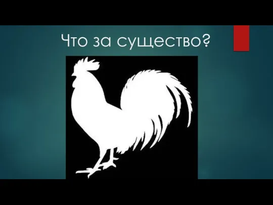 Что за существо?