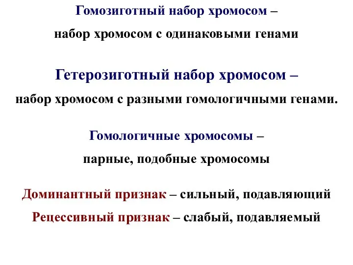 Гомозиготный набор хромосом – набор хромосом с одинаковыми генами Гетерозиготный набор