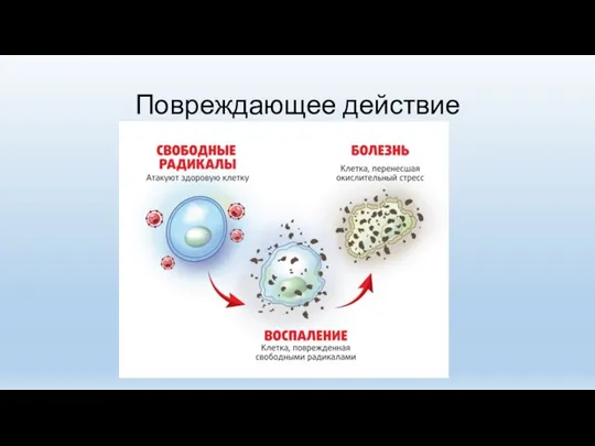 Повреждающее действие