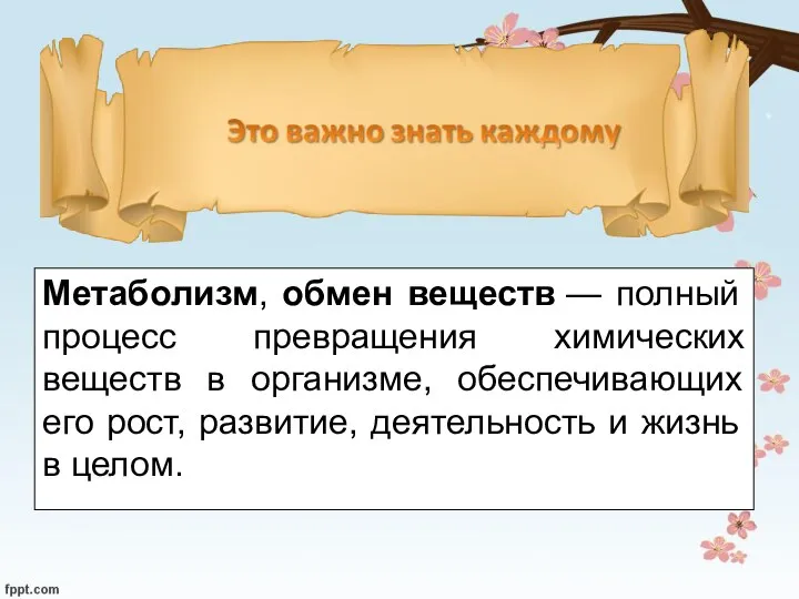 Метаболизм, обмен веществ — полный процесс превращения химических веществ в организме,