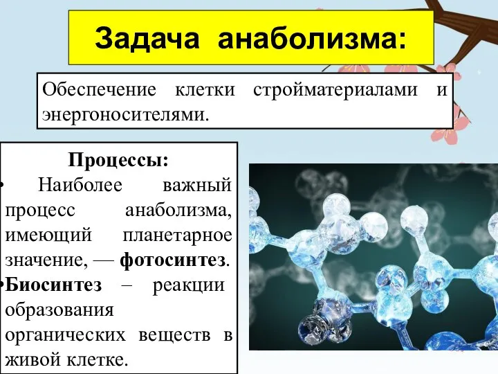 Задача анаболизма: Обеспечение клетки стройматериалами и энергоносителями. Процессы: Наиболее важный процесс