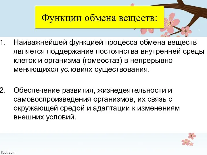 Функции обмена веществ: Наиважнейшей функцией процесса обмена веществ является поддержание постоянства