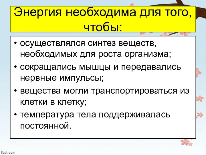 Энергия необходима для того, чтобы: осуществлялся синтез веществ, необходимых для роста