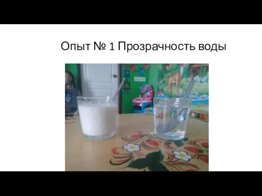 Опыт № 1 Прозрачность воды